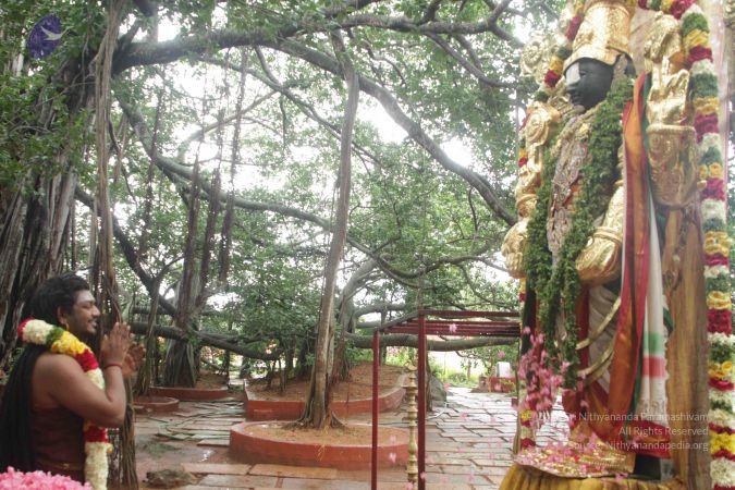 20170902 Photo 1611 1sOvchlktfl5f2KRHnKycjS-VAW7oElgj.JPG