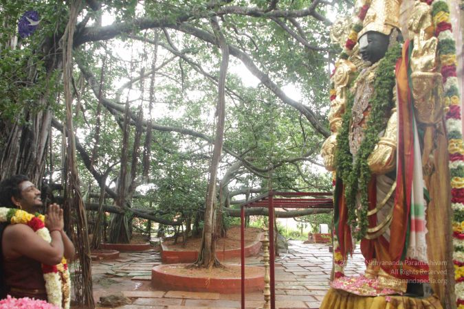 20170902 Photo 1617 1oLzIRhdZwy5euDuwCjT1so5qIau17iUi.JPG