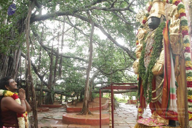 20170902 Photo 1618 10WXKgTU-ekZf2j9lhTvDf0P69XA0ggSn.JPG