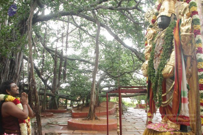 20170902 Photo 1621 1oPw-EpYS4vkppzf4mEYkjLSAs0ajGFRM.JPG