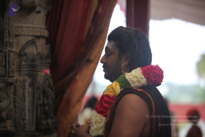 20170902 Photo 1720 1SMGhf24vS9PT7MZrLd4Jf5Ni0ShH653L.JPG