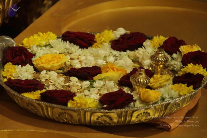 20170902 Photo 1724 1qc0zfkWK9Z9H7bVXn 8GJ4pBT7w5Tfn9.JPG