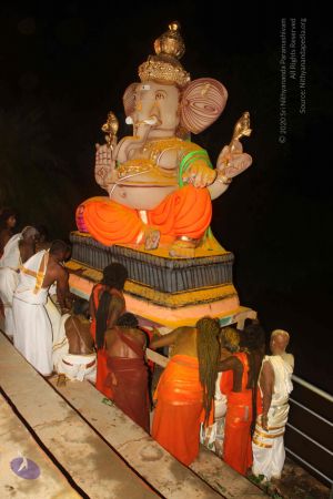 20170903 Photo 1069 1vuqHne7gL1DHfQ8NrIQeErAJt7STWFXO.JPG