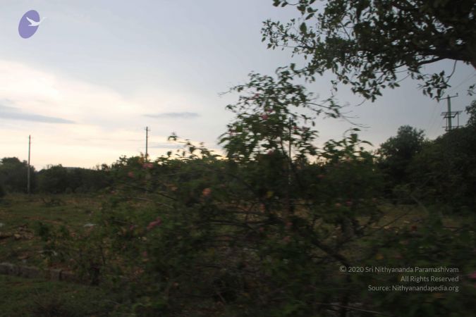 20170906 Photo 1078 1PV9ljNaPe P0fwV5iNTBmlu YUXD6D8d.JPG