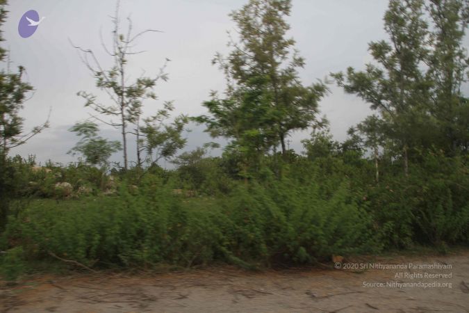 20170906 Photo 1081 1wZDfnF7Sc1KqVKr5lRoA8 nYl Yzz8I3.JPG