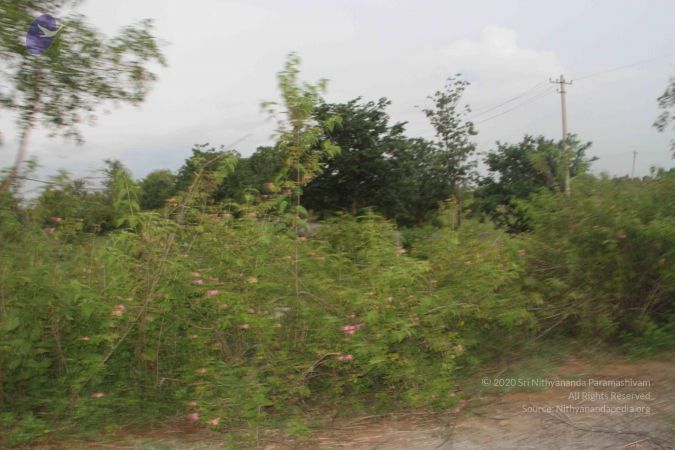 20170906 Photo 1082 1k2HvnnLjrIIGmd0LOEv-fdW1-ktfe5Y .JPG