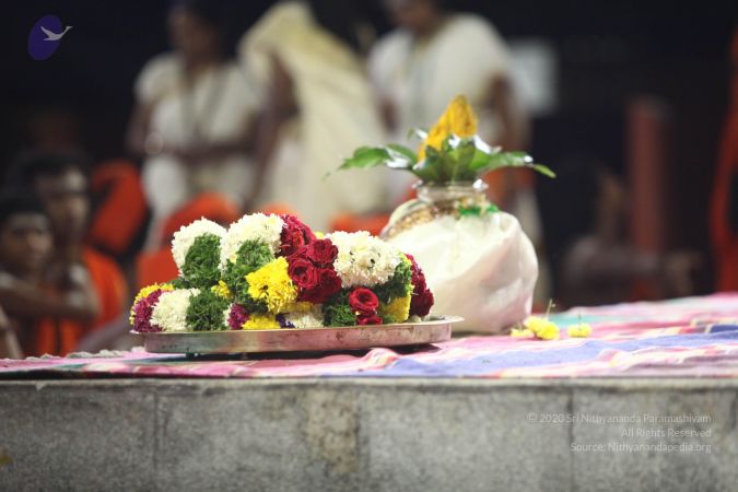 20170907 Photo 1097 1MbWmvVGCmh0p9D0Z3iaUHY3VDjqwnVmE.JPG