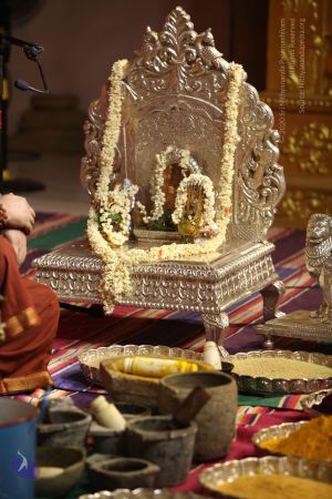 20170909 Photo 1051 143HLNQT9O6CHFWbMs4o8BvsId7FVlWqo.JPG