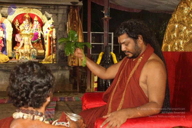 20170911 Photo 1030 1 wPG6Ze4P5UhCJ6JS-mlwfk3mWKBg0cG.JPG