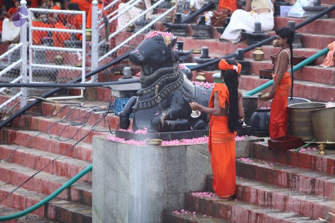 20170911 Photo 1041 1vIjpqsUfvh6XHxYUDiNHmreKM9Yxhibt.JPG