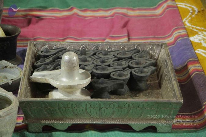 20170914 Photo 1018 1e1THbG7iqFpdOh6fMHprcJaweGd7bPFK.JPG