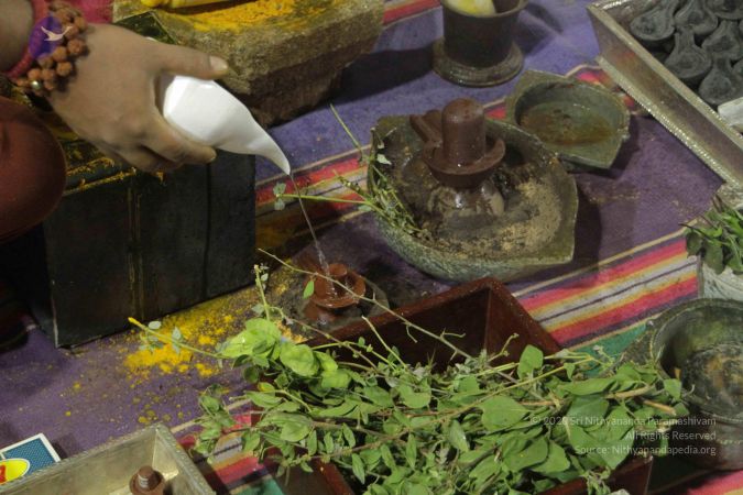 20170914 Photo 1022 1gNyteGCOJmd K-v5RHXxwVuLKWJdJNAg.JPG