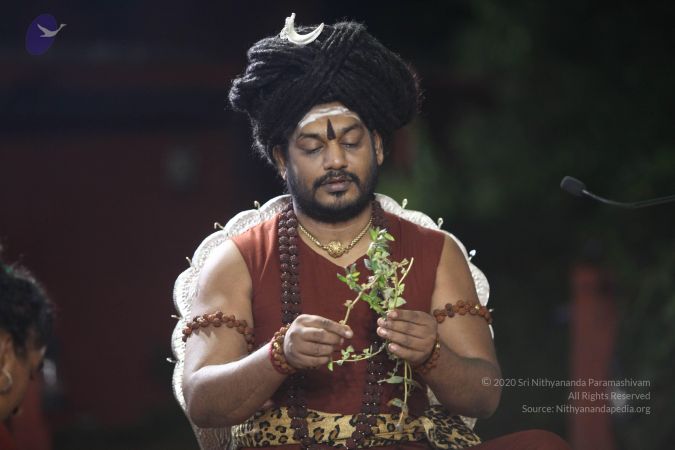 20170914 Photo 1117 11qY2xFSKUEETAxkBRi1UfdiJDmdOqoPf.JPG