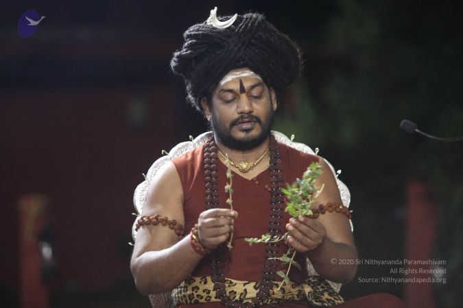 20170914 Photo 1118 1B4xqAhGHt281RzBJM3DqRlEWmsXqJNI8.JPG