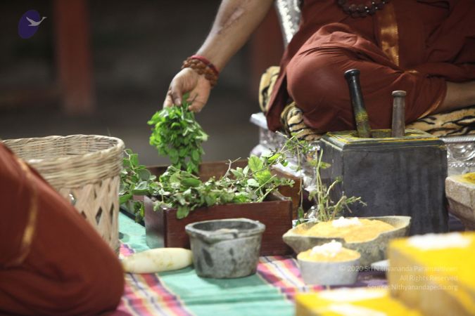 20170914 Photo 1140 1lgcNdGpvmT5r2rzZRs0FFJo96IvM2fQ6.JPG