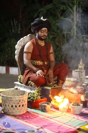 20170914 Photo 1162 1Bqnmr w2e89FtBR9Bw6EwAu2IIWKCUlI.JPG