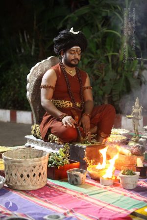 20170914 Photo 1163 1CUOVra4r66tKGavvFBfPzioRPD84LXKg.JPG