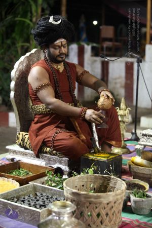 20170914 Photo 1408 1twhKsDYqJ1PToyR5qDBsRPTFMFhU1bCM.JPG