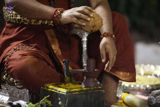 20170914 Photo 1423 1Z2cbuAjk7z2C7L36UTQ2K-Pnq-lj1env.JPG