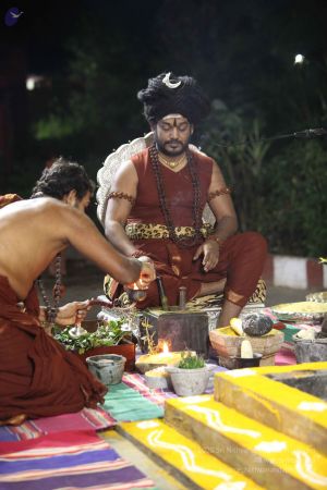 20170914 Photo 158 1NDt0u6j7Ez2ML7O5qwbCOgUq-yxGHbwa.jpg