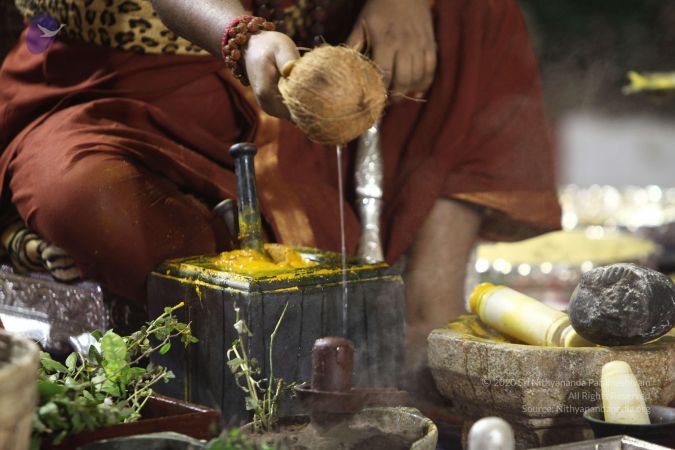 20170914 Photo 1609 1Olx1ClWOq-uWhG9nhB2rPgKq5RFqJRVY.JPG