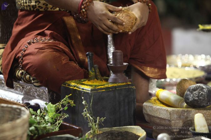 20170914 Photo 194 1SUrDKx RQH664VpbDdvMO3jtdbKWVHN2.jpg