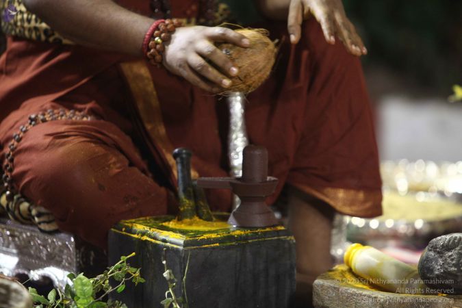 20170914 Photo 205 1ipf8DAealWCp1LhR-vfQDWXjnC 6ift .jpg