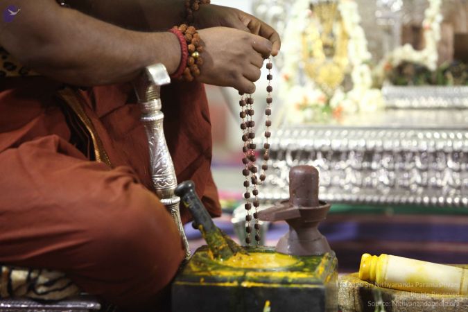 20170914 Photo 231 1T5tecnCWy81GlHCwGJRwjafHiPzXcbqV.jpg