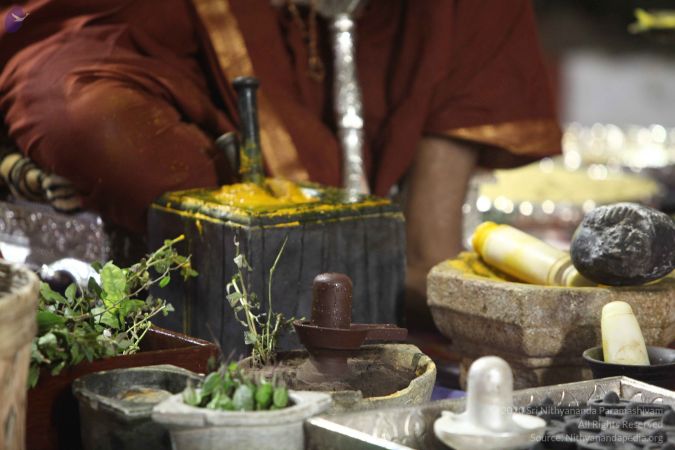 20170914 Photo 358 1r9Y2PyL9ppN3PNvUq-OeOI63KbjiUwL5.jpg