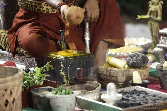 20170914 Photo 364 1ITzErGEsOeCcx0YDNkInlUybrQR8s23K.jpg