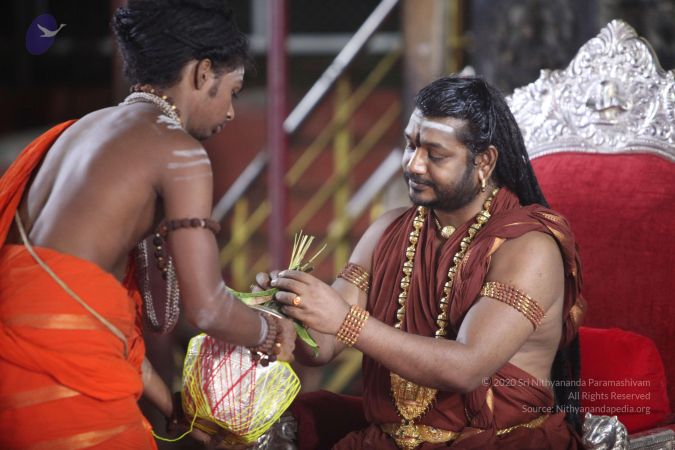 20170917 Photo 1555 1Bdd9DQLn8b-PrmXSQvr2RhlVG-SHX74M.JPG