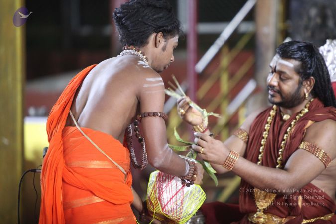 20170917 Photo 1556 1qFB4DCSXKDG8o0HEVoaacxnHQdC3xUmV.JPG