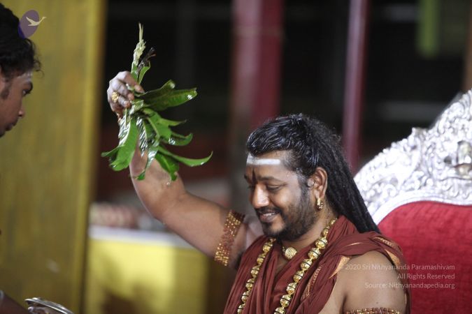 20170917 Photo 1563 1uxoxV9MquQbAt1uLkFv0HdmqpJd -xTP.JPG