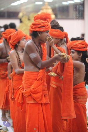 20170919 Photo 1325 1dzJmpoo VNpqo3Y4VblhALkxlTfnqbvH.JPG