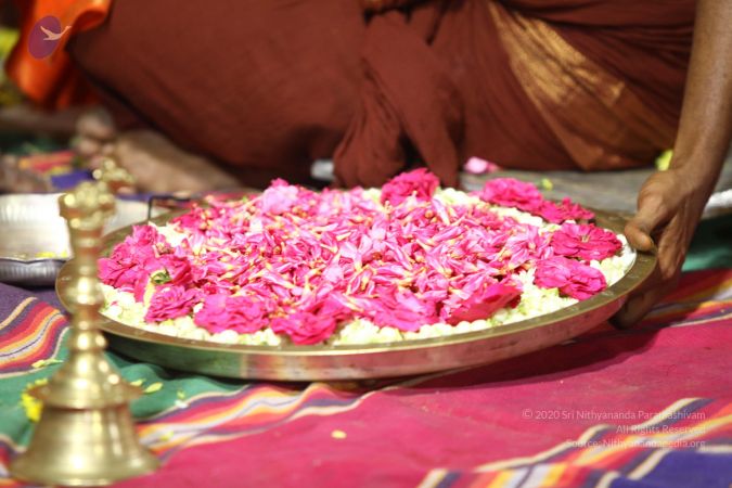 20170921 Photo 1564 1aiV8AfqLpTKNMobDMUtEvwKRJbA2fK6p.JPG