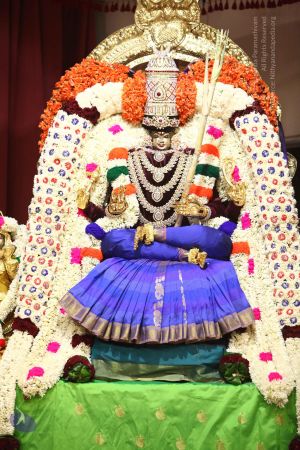 20170922 Photo 1001 1-9jg3VrFUdDN91c4ZjkcWgzv2Pqp0EAN.JPG