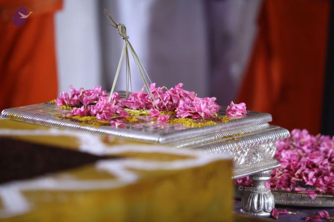 20170924 Photo 2279 1J8O09qhiuYR0-GX5TbbDQGSs4tFolNds.JPG