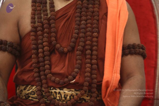 20170928 Photo 1148 1uU1o3rSGTmqFCxZAwoxBdOZc EoDo2rr.JPG