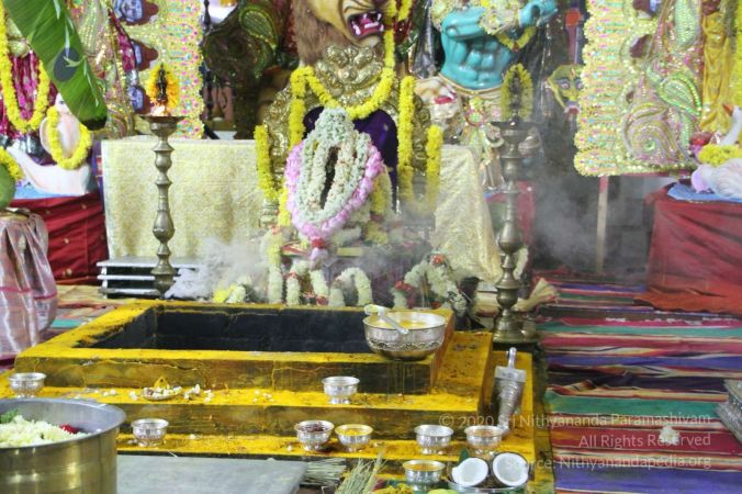 20170928 Photo 3033 1sQ31AZnH2ccuUDJRI7iyQyUOrk1gQ8lx.jpg