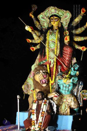 20170930 Photo 2045 1CoKUQltvKTn4Wmq95LYX15PsAVOhbI9k.JPG