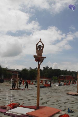 20171003 Photo 1037 1rBsf94XiXAN2Nny4jkPxW9dfwM6qzDH3.JPG