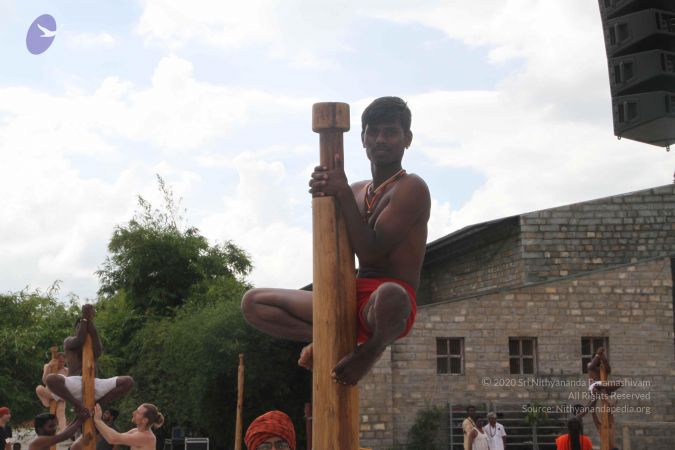 20171003 Photo 1223 1hzgcxxPu Pyj58bO0H8zLncQbmRDh8Z .JPG