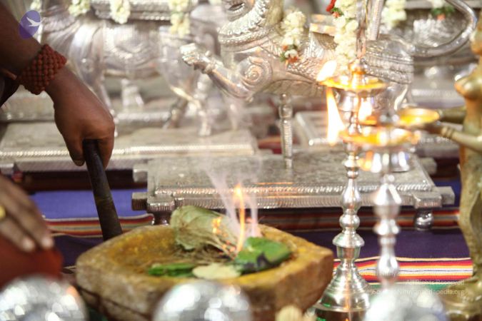 20171008 Photo 1859 1WFOr52GkoNbT761mzwgLXyJnElPOfFTD.JPG