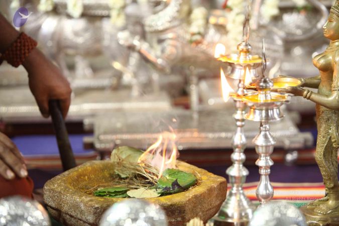 20171008 Photo 1860 1HHwEIvNMokJBmzwG2GWRPr8IeyL56ojF.JPG