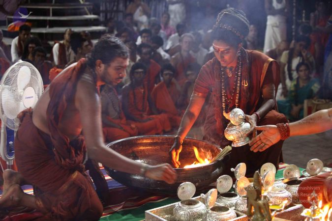 20171008 Photo 1876 1e8vb r32 l3OIDaHoWYXpA5YP3THbukQ.JPG