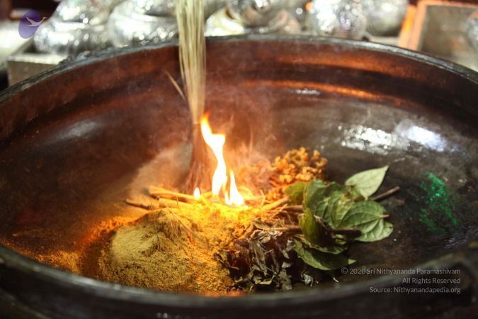 20171008 Photo 1895 197 4NRZ yXVtp8lNOLQnDVnr6k0bQGHa.JPG