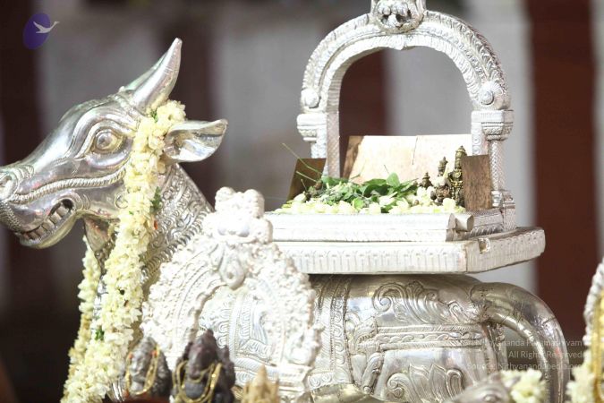 20171008 Photo 1897 15RSeTB9L0kiRISsVjS2Bf5IgCMJFzuIG.JPG