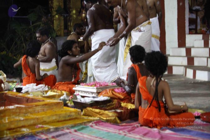 20171008 Photo 2381 1dm4wso2 arxpT52F5pTFZ8pc5ws71rfS.JPG