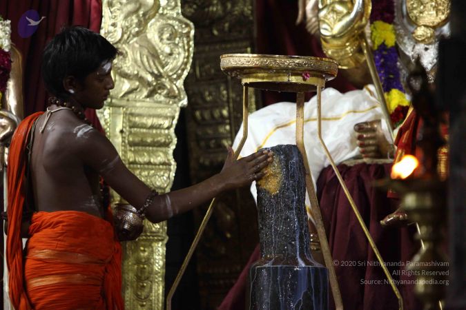 20171008 Photo 2407 1RiWNQL8P2XA41aptydOGD EZVuNR22No.JPG