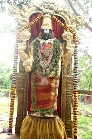 20171012 Photo 1006 1UEMdDu25vQ6NxSIBnBx2H4heITVjfZDo.JPG